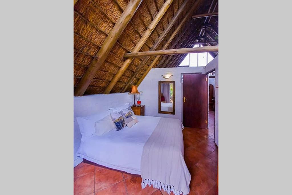 Pantera Lodge & Cheetah Cottage Johannesburg Exterior photo