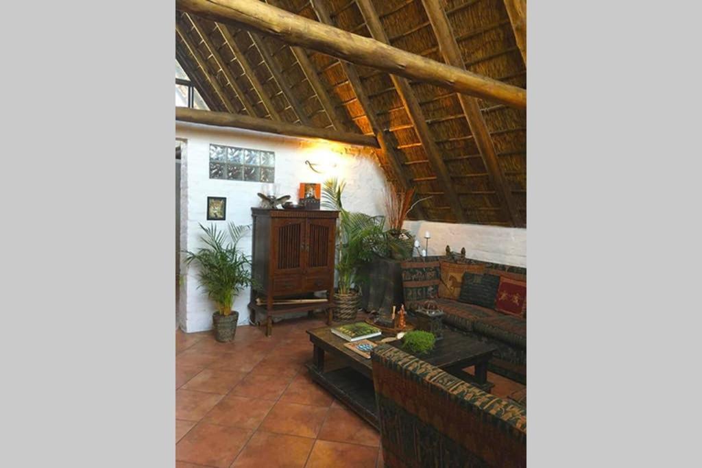Pantera Lodge & Cheetah Cottage Johannesburg Exterior photo